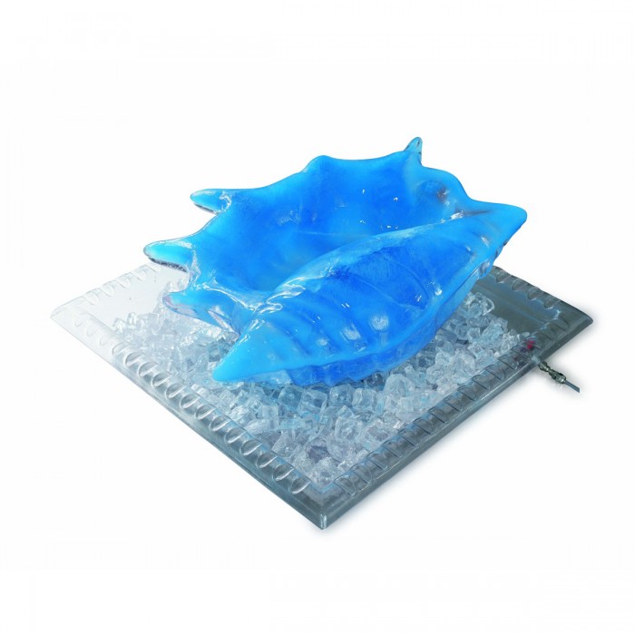 Transparent plastic Tray 57x57x8 cm Martellato