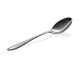 Galileo Fruit Spoon Salvinelli