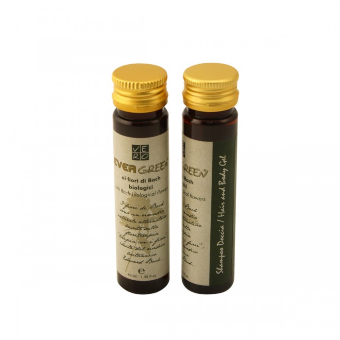 Evergreen Shampoo Doccia 40ml 240 pezzi