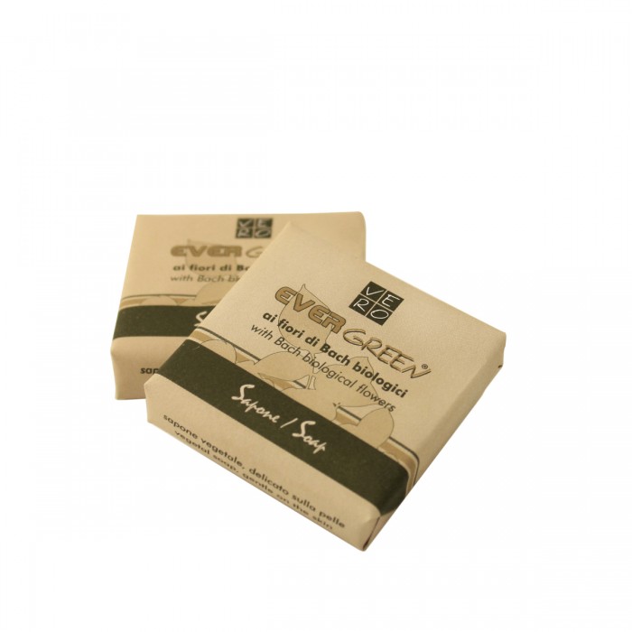 Evergreen Sapone Quadro 30 gr 288 pezzi