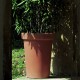 Camelia Pot - 46 cm with saucer