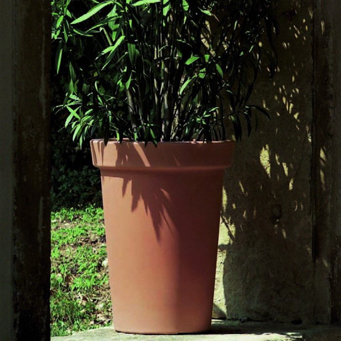 Camelia Pot - 46 cm with saucer