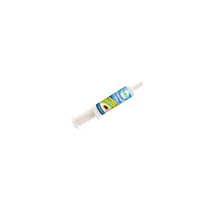 Esca Gel per Scarafaggi