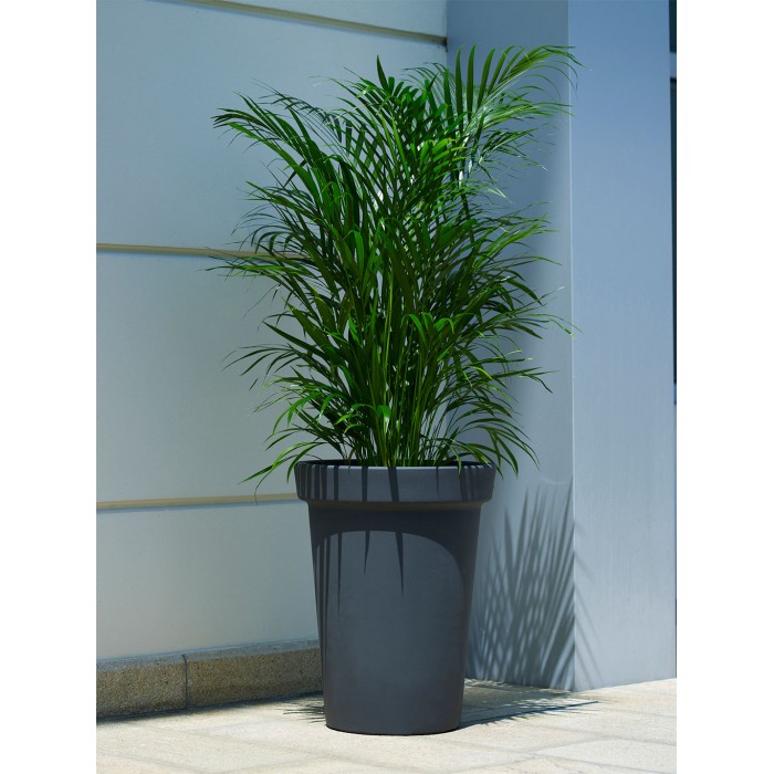 Camelia Pot - 46 cm with saucer